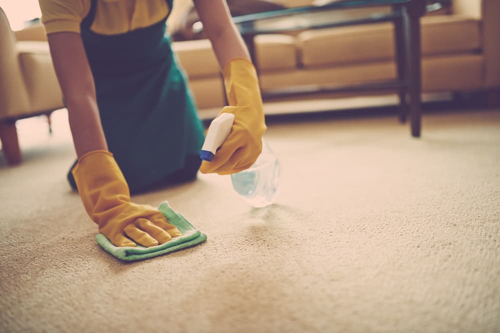 carpet cleaning